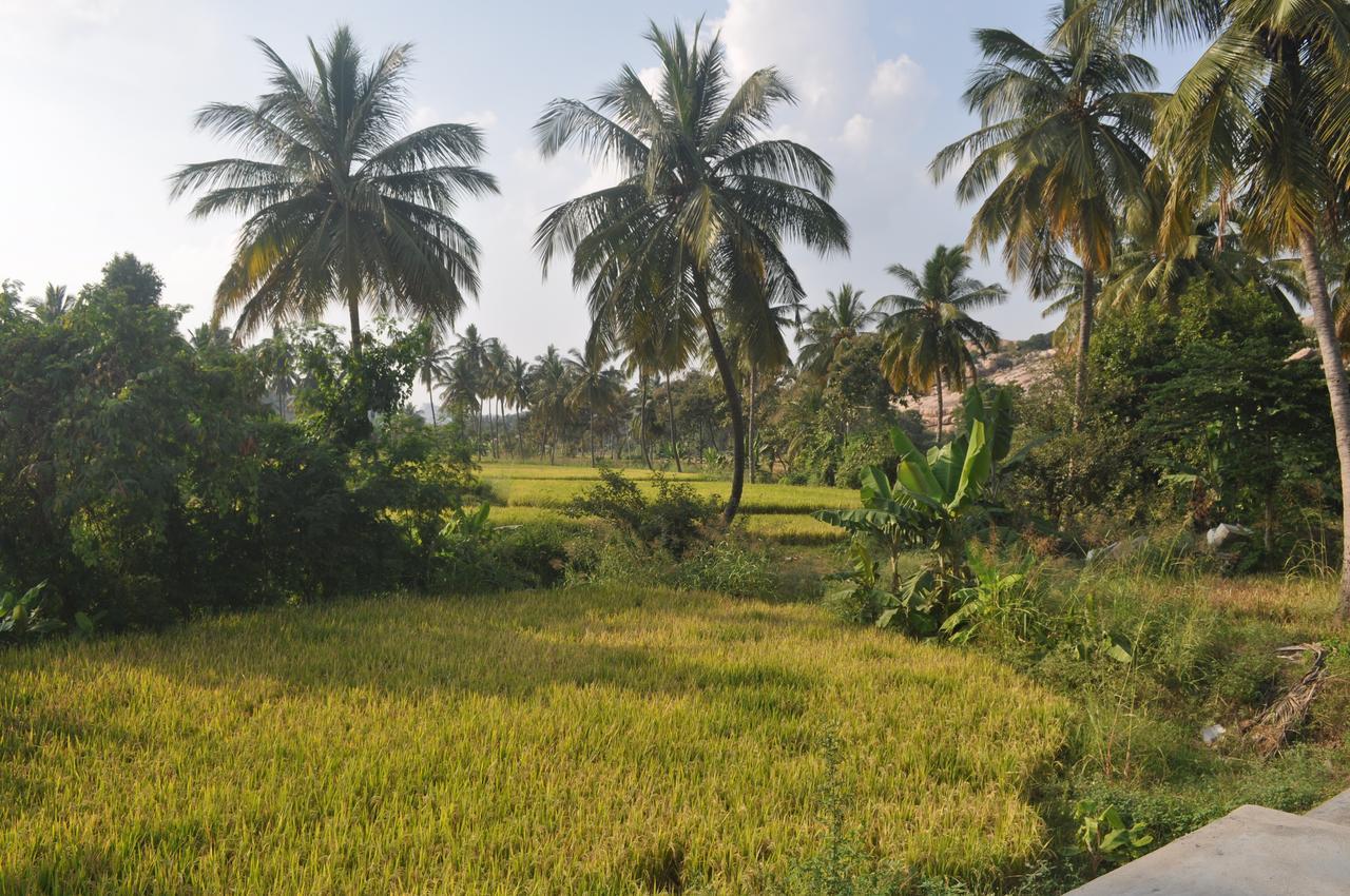 Uma Shankar Hampi Ngoại thất bức ảnh